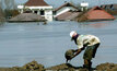 Maleo bogged down in Indonesian mud