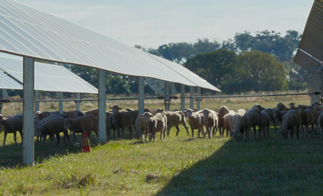 Farmers want to learn more about clean energy projects. Credit: RE-Alliance