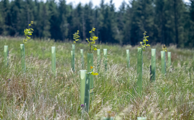 Defra puts Capital Grants Scheme on hold for now