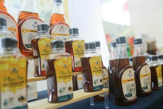 Myanmar's bee enterprise eyes market expansion in China through CIIE
