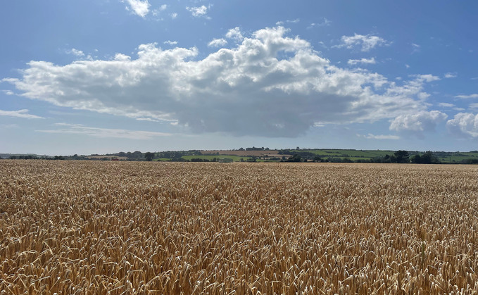 Belter barley lives up to its name with impressive yields on East Lothian farm