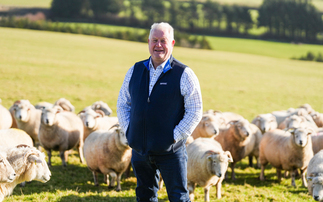 Sheep industry shows resilience in challenging times