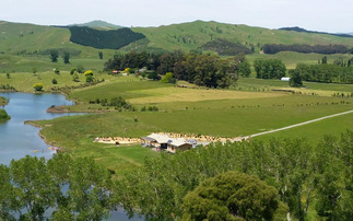 Ag in my Land: Beef and sheep farmer in New Zealand turns to regenerative practices to ensure farm's future