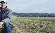 Last year Greg Condon, WeedSmart’s extension agronomist in southern New South Wales, saw widespread failure of clethodim applications for ryegrass control, particularly in canola crops.