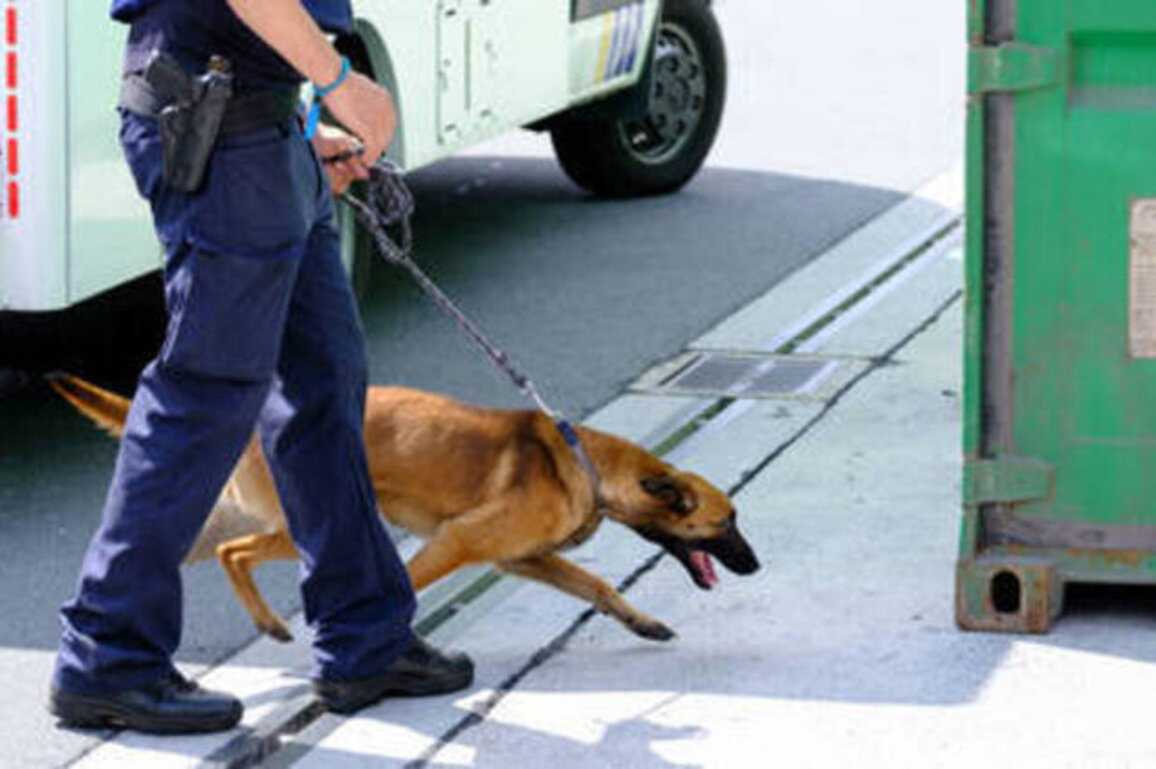 Belgium becoming 'narco state' - judiciary