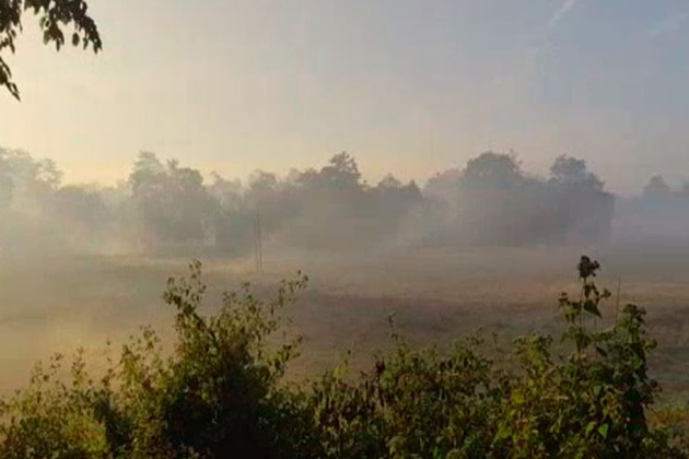 Majuli wrapped in winter fog, offering mesmerising morning views