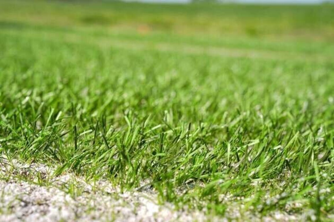 NFLPA taking notice of grass surfaces for World Cup