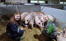 From setback to success: How one young farmer turned an empty shed into a profitable pig enterprise