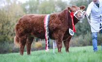 Biggest entry at Agrifest on record