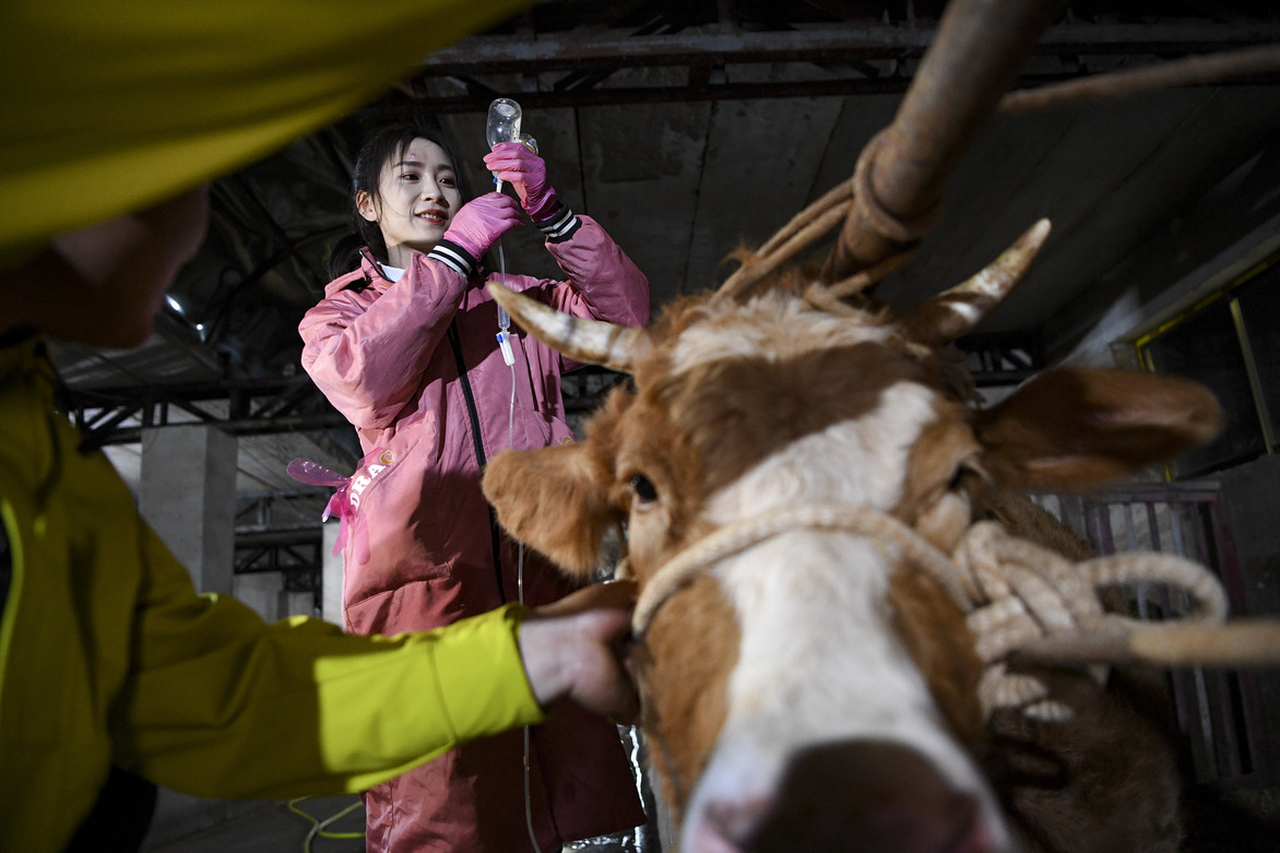 Crossing mountains, Chinese youth building future beyond the fields
