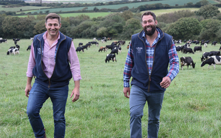 How one Cornish dairy farm is keeping sight of their heritage 