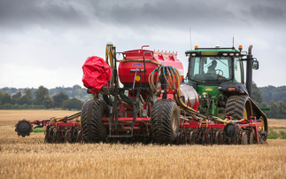 Flexible de-risking scheme launched for OSR growers