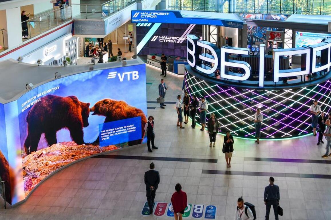 Russian Far East region welcomes Chinese investors to tap into new incentive mechanism: official