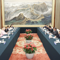 CHINA-BEIJING-HE LIFENG-LOUIS DREYFUS-SUPERVISORY BOARD-CHAIRPERSON-MEETING (CN)