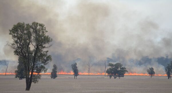 Some parts of southern New South Wales have been impacted by bushfires following hot and windy conditions in December.