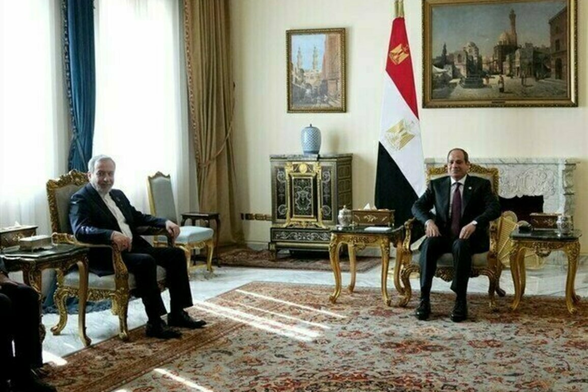 Egypt Eyes Stronger Ties with Iran
