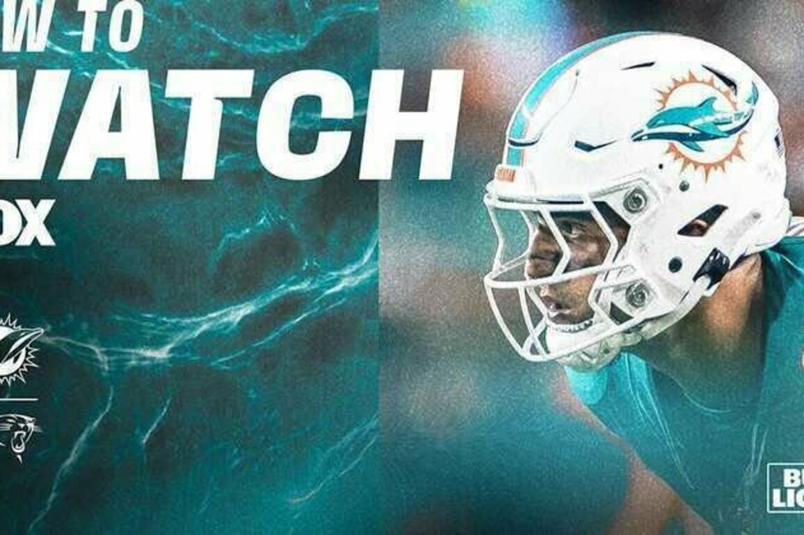 How to Watch, Stream & Listen: Miami Dolphins at Carolina Panthers
