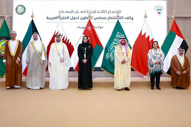 UAE participates in 3rd GCC Investment Committee Meeting