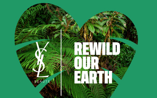 'Rewild Our Earth': YSL Beauty announces new nature conservation projects