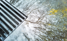 Is the UK's first forever chemicals strategy 'commendably holistic' or lacking in ambition?