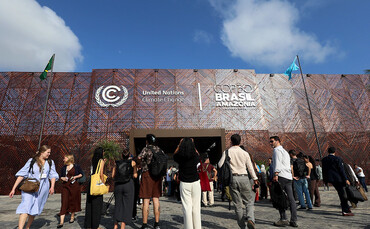 COP30: Should the Belém Climate Summit be chalked up as a success or a failure?