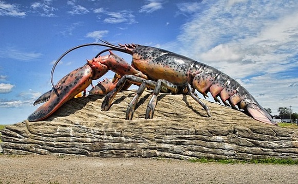 Green Mountain sends excess data centre heat to lobster farm
