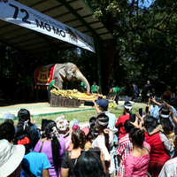 MYANMAR-YANGON-ASIAN ELEPHANT-72ND BIRTHDAY-CELEBRATION