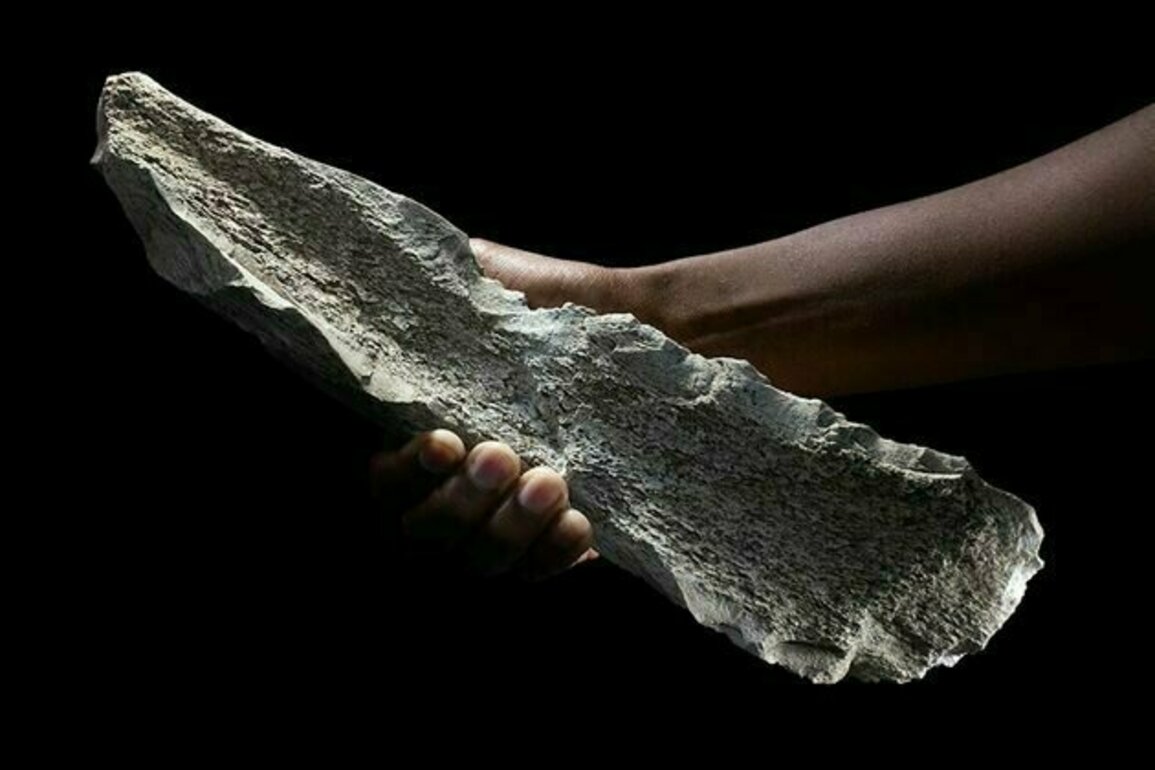 1.5 million-year-old bone tools discovered in Tanzania rewrite the history of human evolution