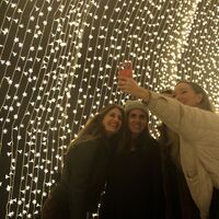 U.S.-SAN FRANCISCO-BOTANICAL GARDEN-LIGHTSCAPE