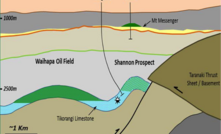  Puka geology schematic.