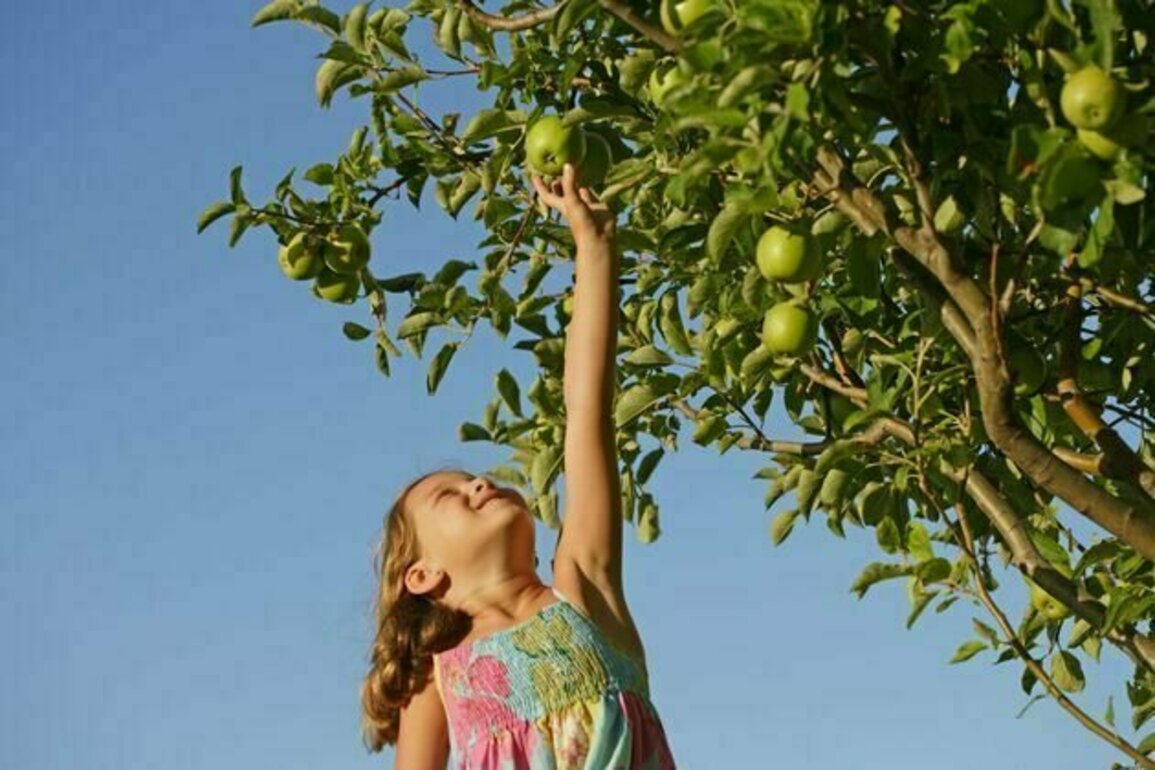 Should I limit how much fruit my child eats because it contains sugar?
