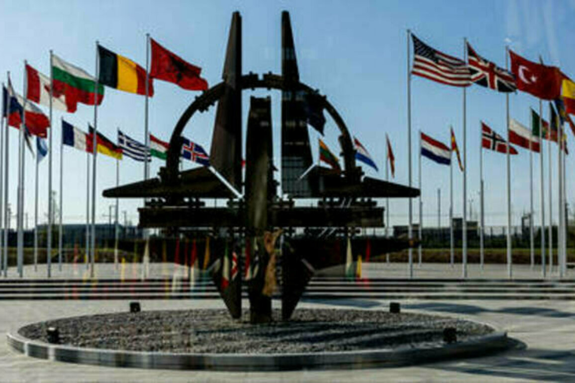 US considering 'eliminating almost all funding' for NATO - NYT