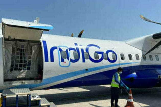 Bee attack delays flight in India (VIDEO)