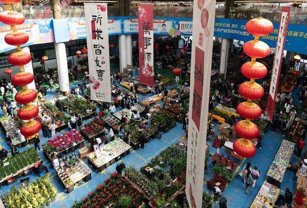 Asia's largest flower market booms ahead of Int'l Women's Day