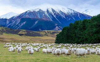 NZ forestry legislation welcomed
