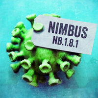 COVID-19 Update: How to Stay Safe from the Emerging Nimbus Strain