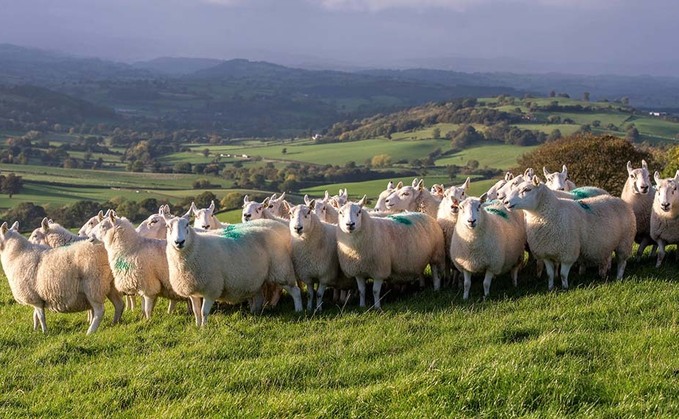Goals for Government set out in Welsh farming week
