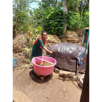 Nearly 1,000 tribal households near Statue of Unity get biogas plants; over 665 already installed in Gujarat's Narmada district