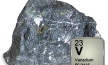  Vanadium samples