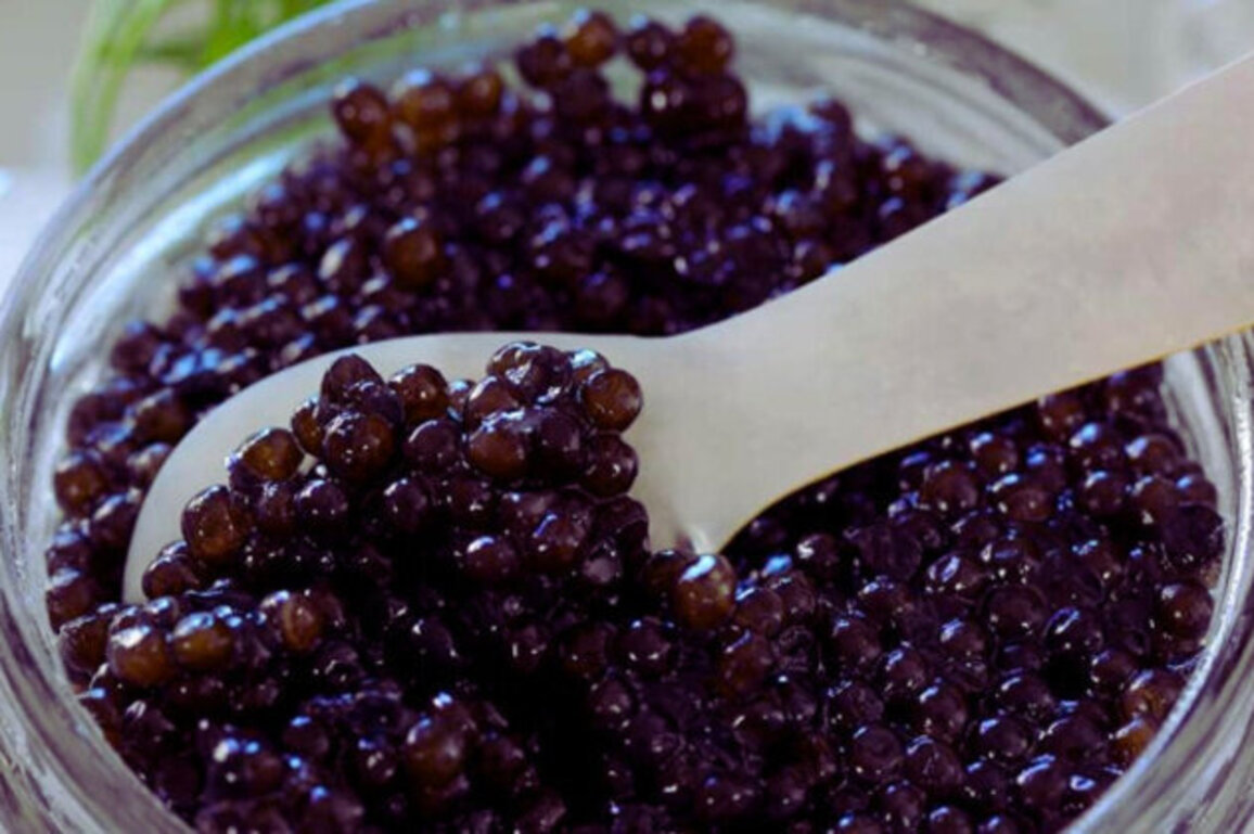 Bulgaria Tops Europe in Black Caviar Exports