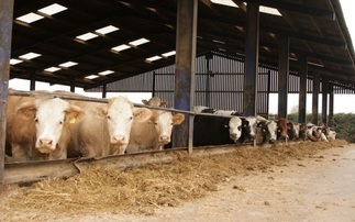 1400 people reject proposed beef Unit construction in Wiltshire  