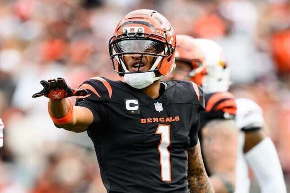 The Envelope Please: Bengals.com 2025 Awards