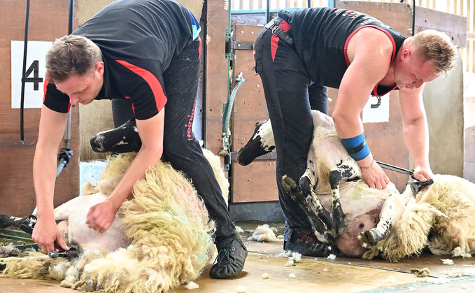 26-hour Northumberland sheep clipping event raises over £10,000