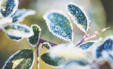 Professional Pensions Monthly Digest: January 2022