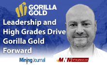 Leadership and High Grades Drive Gorilla Gold Forward