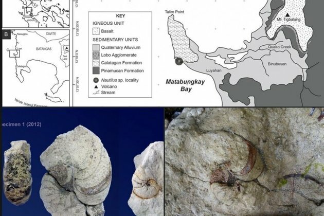 Researchers publish discovery of PH&#039;s oldest Nautilus fossils