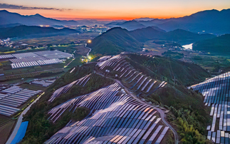Study: Renewables generated more electricity than coal worldwide in first half of 2025