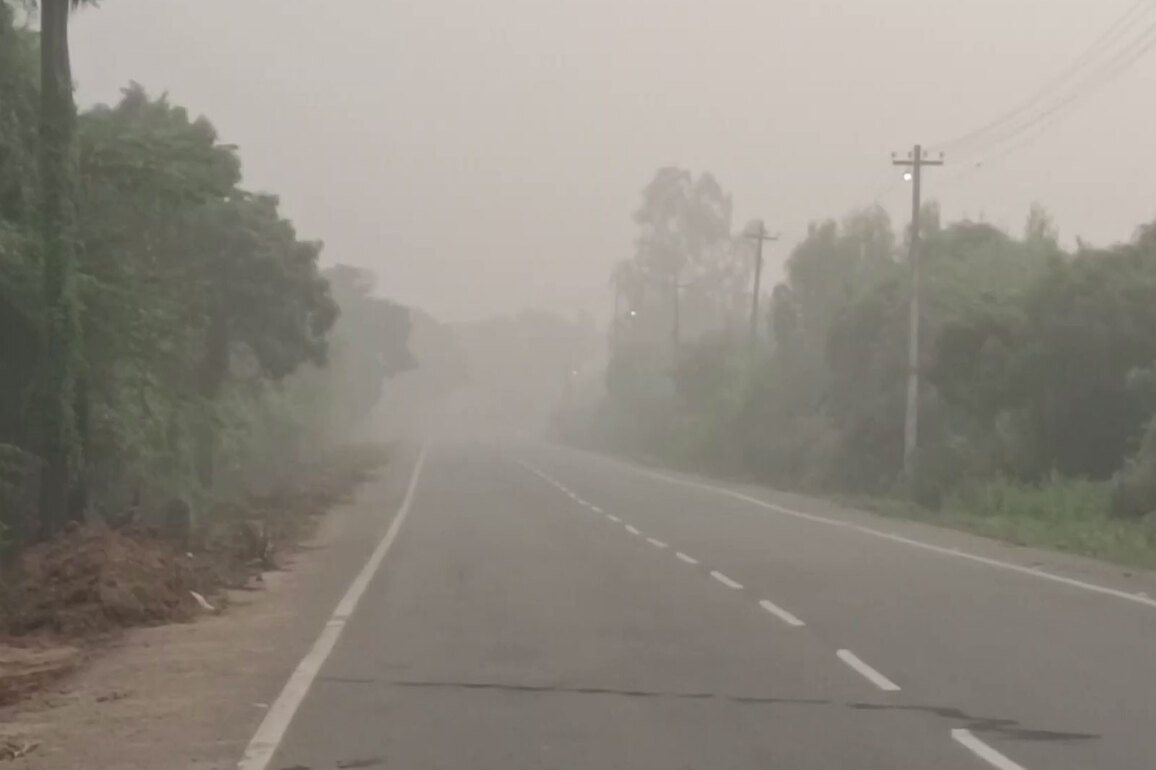 Tamil Nadu: Motorists battle near zero visibility in Chengalpattu due to thick fog