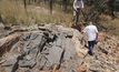 Coolabah believes it has the right rocks for Cobar-style deposits