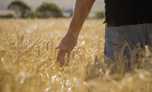 Below average rainfall and the Aussie dollar hit farming